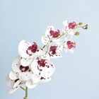 Arranjo Orquídea Artificial Tigre No Vaso Rose Gold | Formosi